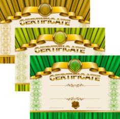 Elegant template of certificate diploma N8
