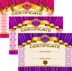 Elegant template of certificate diploma N9