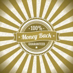 Retro badge radial sunbeam background N2