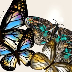 Fashion background with vector butteflies