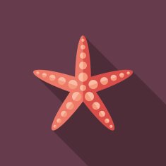 Starfish flat square icon with long shadows