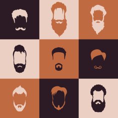 Beards set