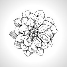 Flower monochrome Line Art
