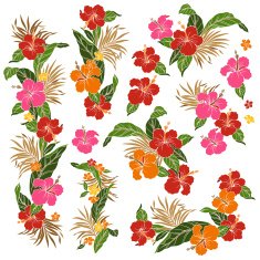 Hibiscus illustration N11