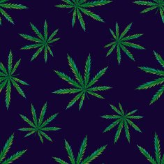 Marijuana N4