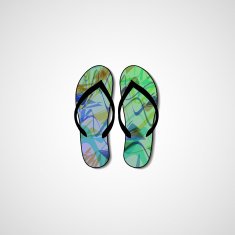 Abstract illustration on flip flops N66