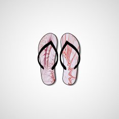 Abstract illustration on flip flops N67