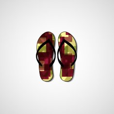 Abstract illustration on flip flops N69