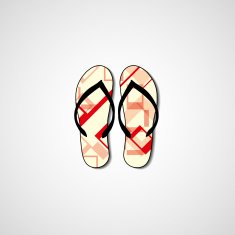 Abstract illustration on flip flops N76