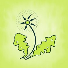 Dandelion with green leaves spring theme