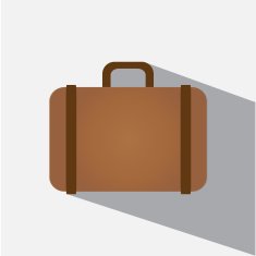 Bag Vector Icon N4