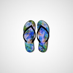 Abstract illustration on flip flops N92