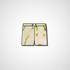 Abstract illustration on shorts N99