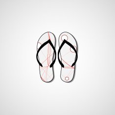 Abstract illustration on flip flops N96