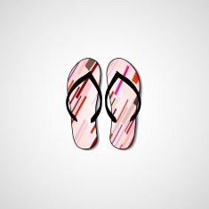 Abstract illustration on flip flops N97