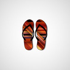 Abstract illustration on flip flops N103