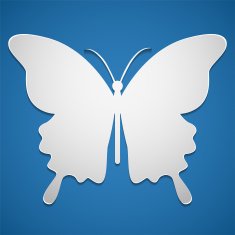 vector butterfly icon or background