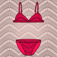 Hand drawn vector sexy lingerie set N2