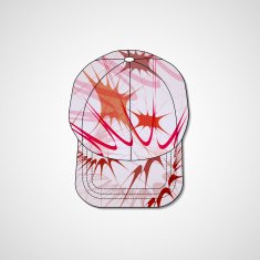 Abstract illustration on peaked cap N98