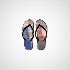 Abstract illustration on flip flops N109