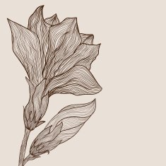 Vector hand drawn abstract flower in vintage style
