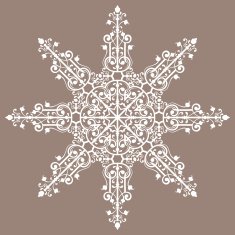 Vintage background ornament lace star