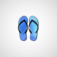 Abstract illustration on flip flops N113