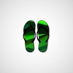 Abstract illustration on flip flops N115