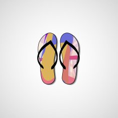 Abstract illustration on flip flops N116