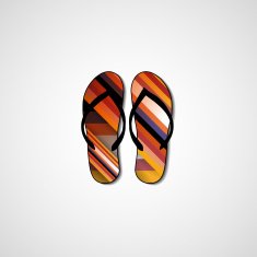 Abstract illustration on flip flops N118