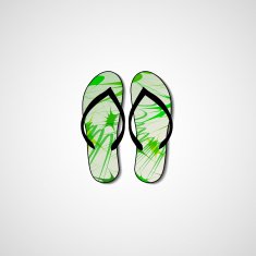 Abstract illustration on flip flops N123