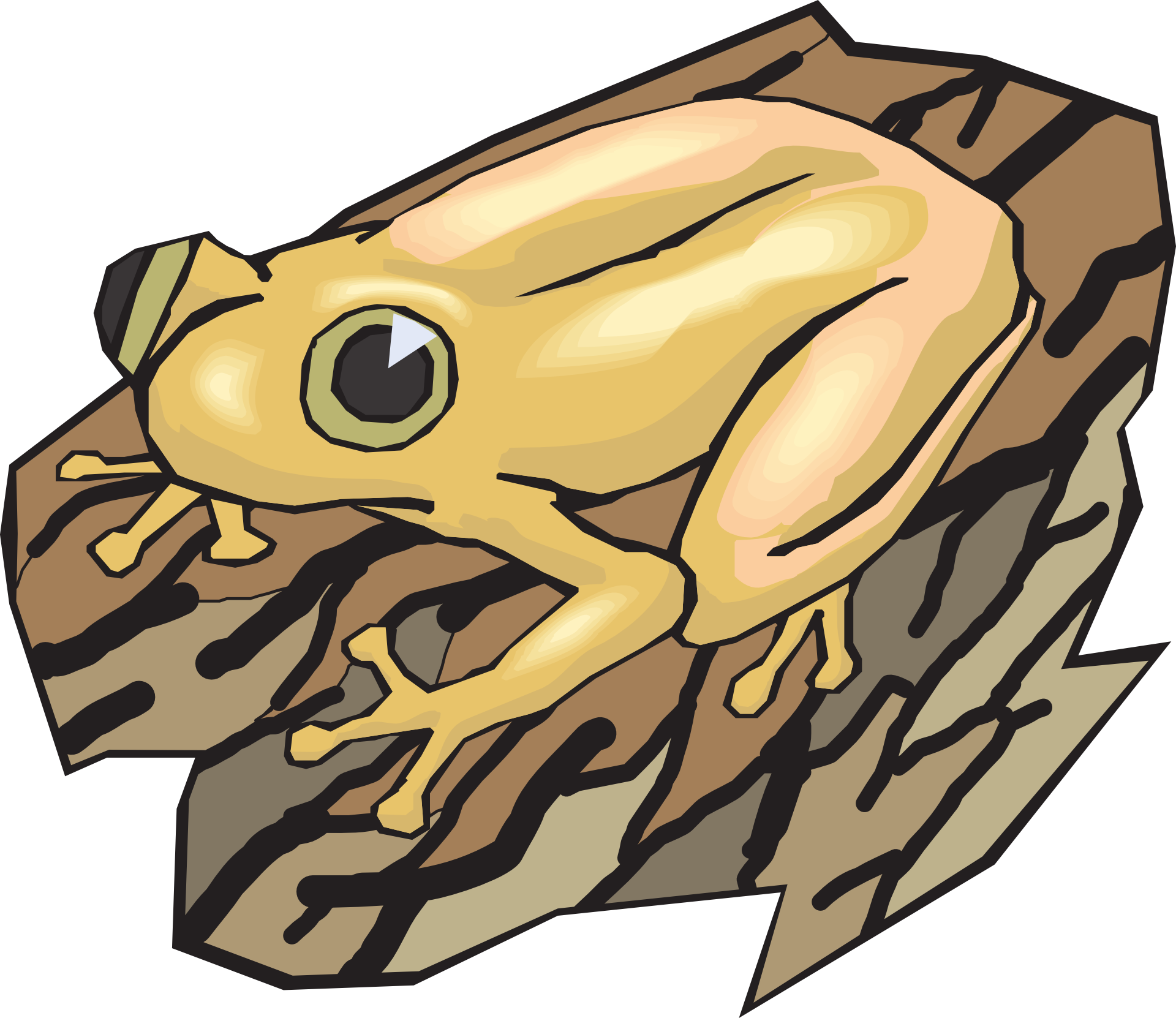 Frog drawed free image