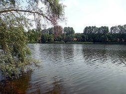 panorama of a wide pond