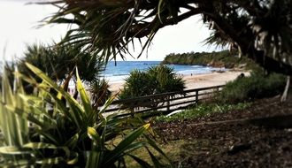 beach with green plants in australia