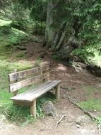 nature bank wooden