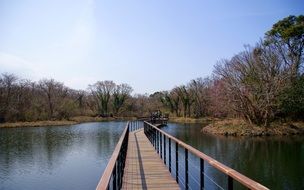 lake on jeju island