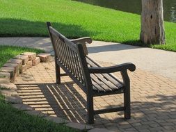 wooden bench and tree in Park