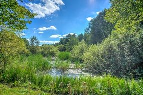 stockholm sweden nature