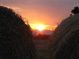 sunset over tuscany in summer at dusk