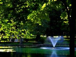 Landscape with the water in the park
