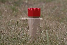 kubb viking chess king, wooden figure on meadow