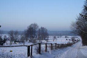 road along a wooden fence in winter