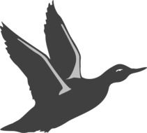 flying duck bird vector drawing