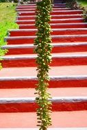 Green agave vertical plant in front of stairs