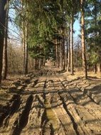 extraordinarily beautiful muddy road