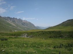 alpine meadows in Austria