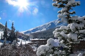 sunny day in the snowy mountains