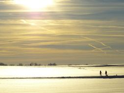 evening sun in winter