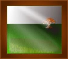 lonely tree in a field in a photo frame as an illustration