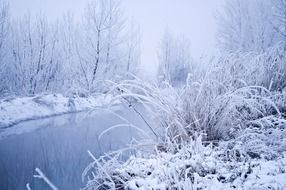 snowy cold winter landscape